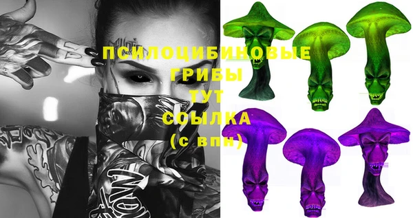 Альфа ПВП Алексеевка
