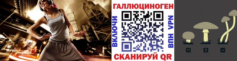 Галлюциногенные грибы мицелий  наркошоп  Димитровград 